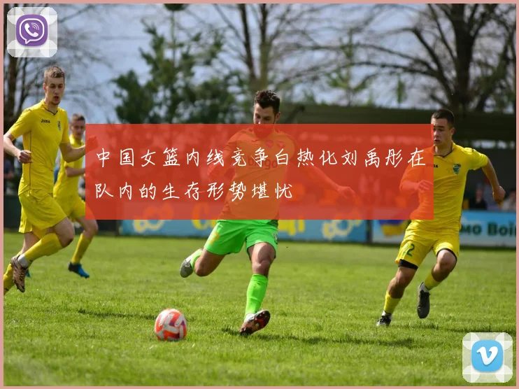 中国女篮内线竞争白热化刘禹彤在队内的生存形势堪忧