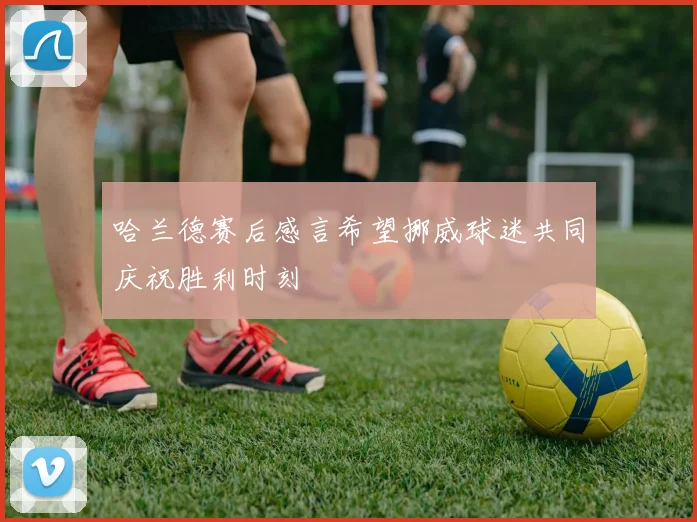 哈兰德赛后感言希望挪威球迷共同庆祝胜利时刻